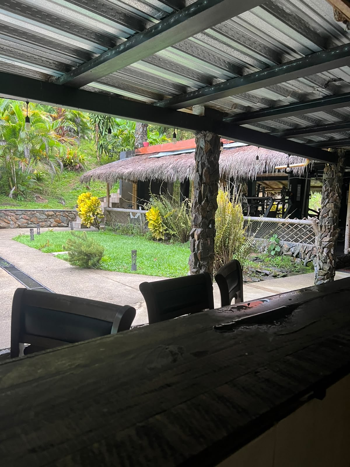 From the bar: the lawn and the gym pavilion