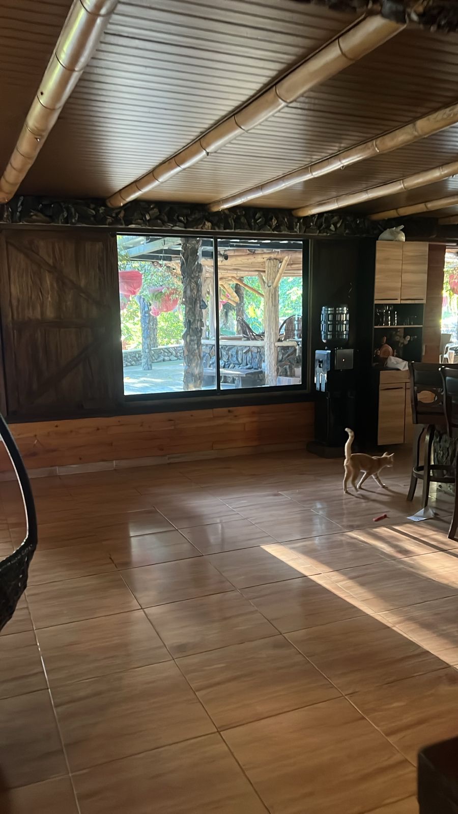Light-filled room onto the pergola