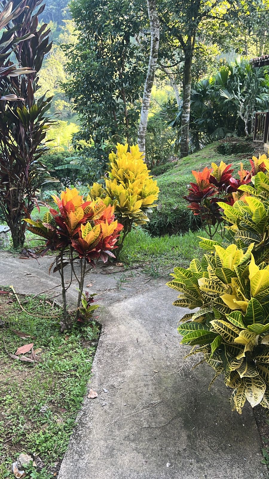 The gardens