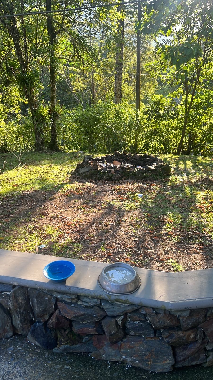 Gardens & firepit