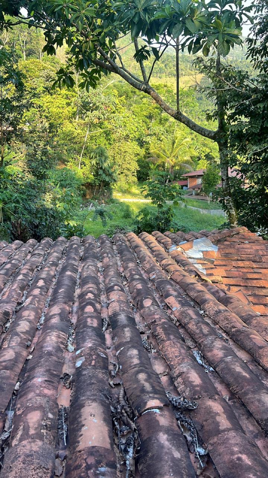 The valley from the roof